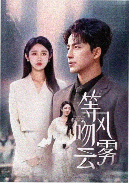 3d综合版热播剧集雾港档案第三季